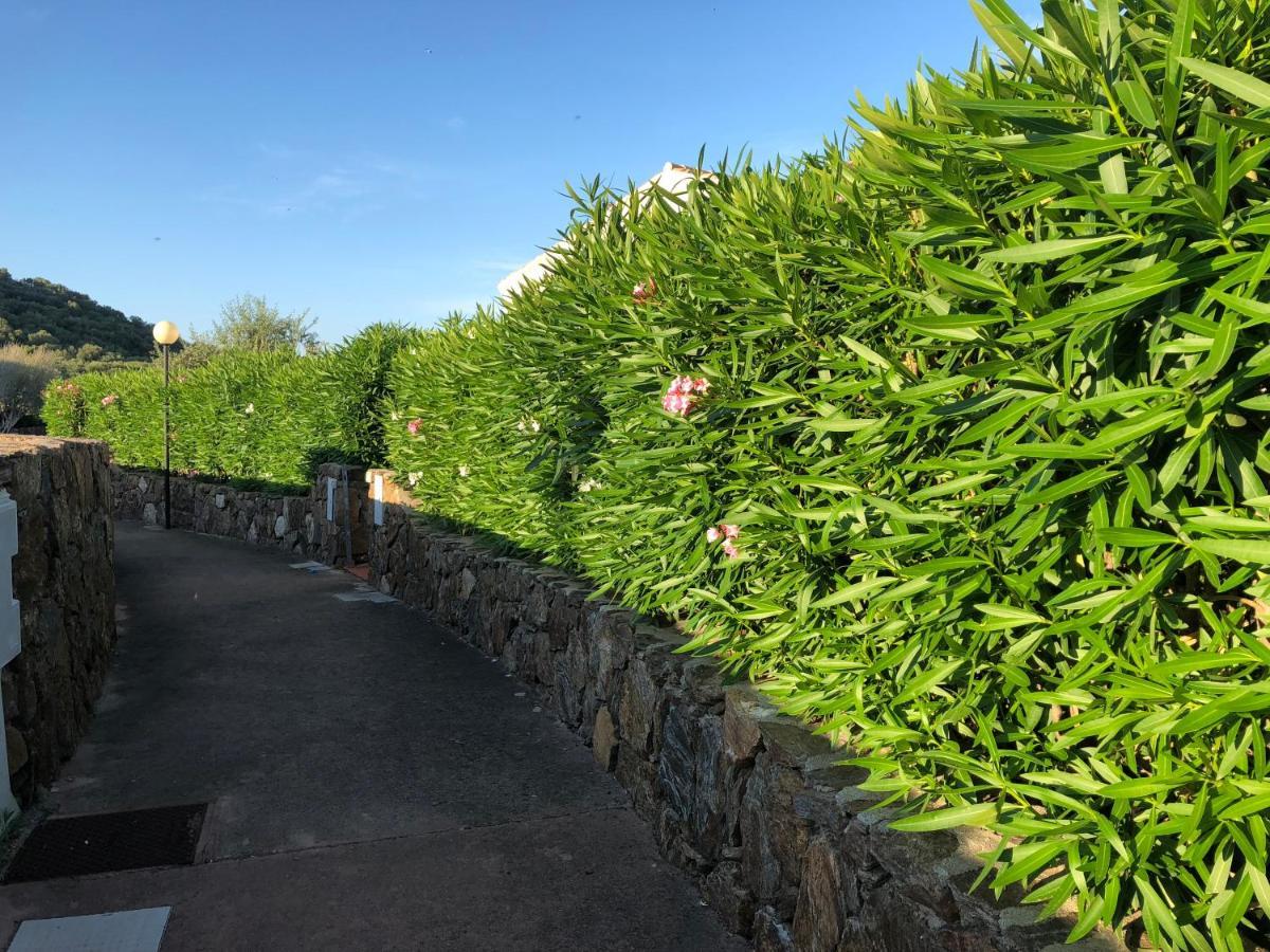Holiday home L'uliveto Budoni