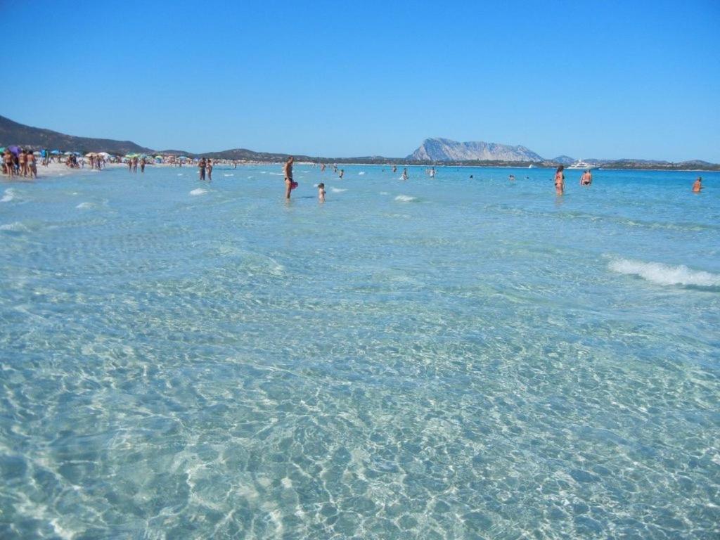 L'uliveto Holiday home *